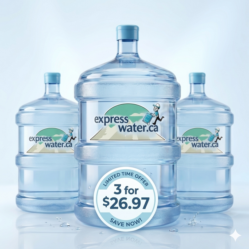 3 x 18L Bottles – Purified Drinking Water